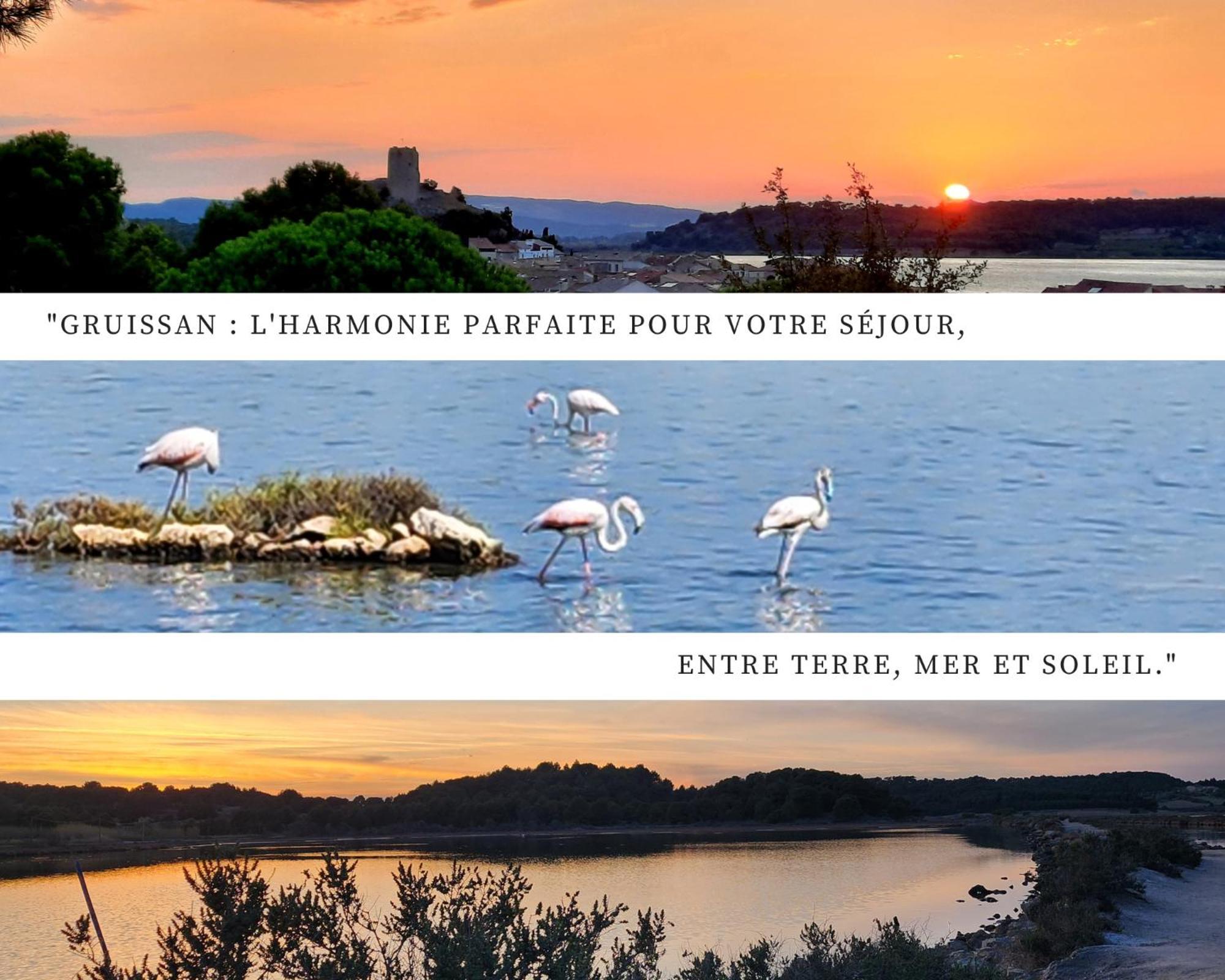 - L'Horizon Bleu - Cocon Romantique Avec Vue Mer Panoramique Gruissan Eksteriør billede
